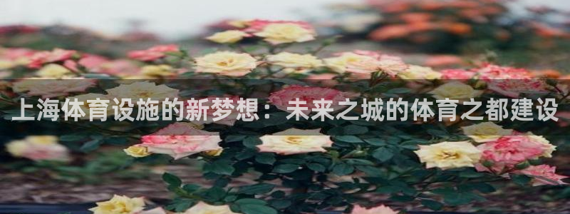 意昂4娱乐平台：上海体育设施的新梦想：未来之城的体育