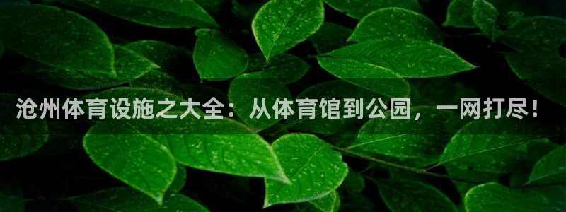 意昂4集团官网首页：沧州体育设施之大全：从体育馆到公