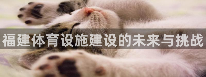 意昂体育4娱乐：福建体育设施建设的未来与挑战