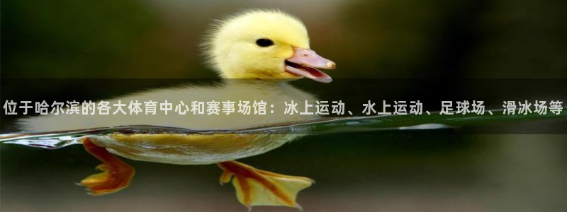 意昂4娱乐代理怎么样