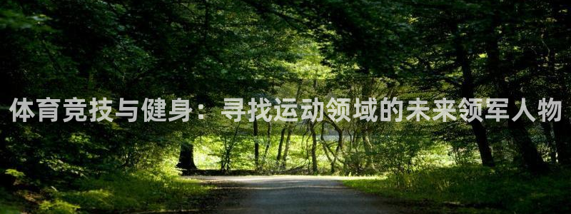 德国意昂4集团