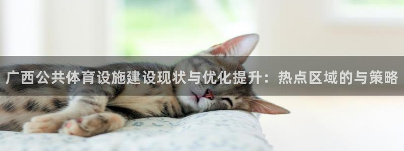 意昂4娱乐平台：广西公共体育设施建设现状与优化提升：热点区域 