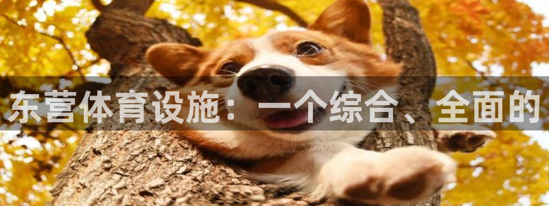 意昂体育4招商电话地址查询：东营体育设施：一个综合、全面的