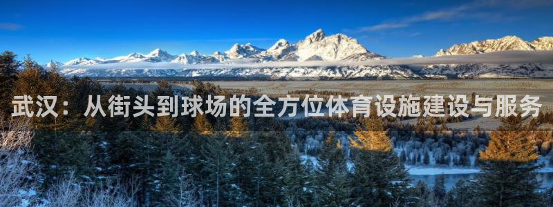 意昂体育4招商电话地址：武汉：从街头到球场的全方位体育设施建 