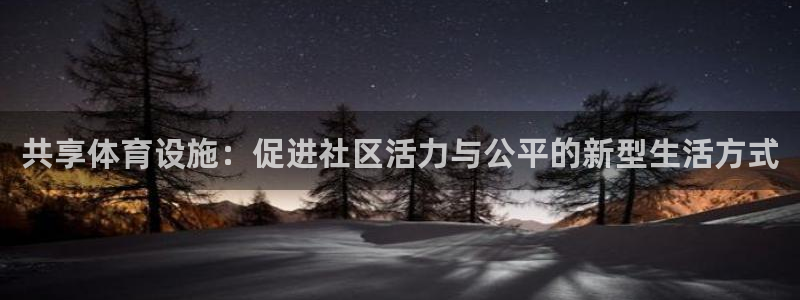意昂4神州：共享体育设施：促进社区活力与公平的新型生活方式