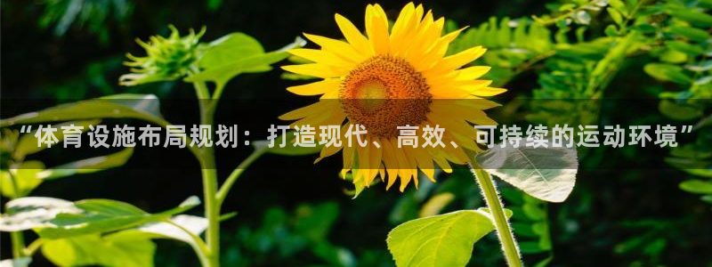 意昂体育4娱乐：“体育设施布局规划：打造现代、高效、可持续的