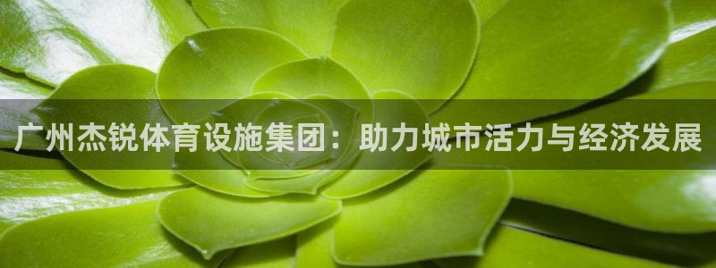 意昂体育4平台注册流程图：广州杰锐体育设施集团：助力城市活力
