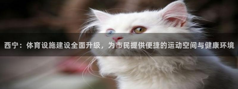 意昂4娱乐网站