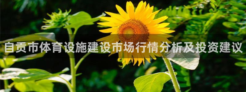 意昂4集团