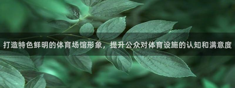 意昂4集团官网首页：打造特色鲜明的体育场馆形象，提升