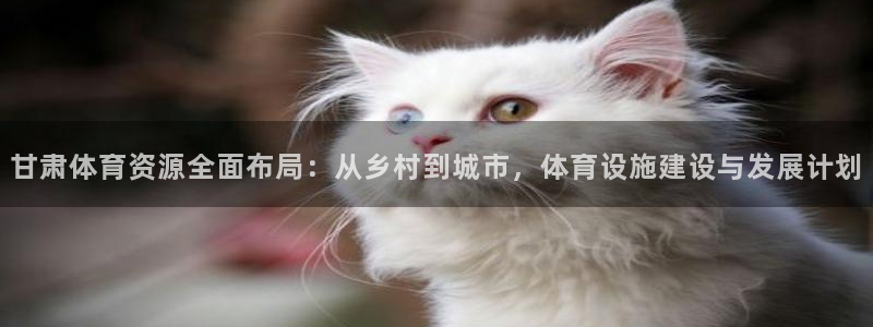 意昂体育4招商电话：甘肃体育资源全面布局：从乡村到城