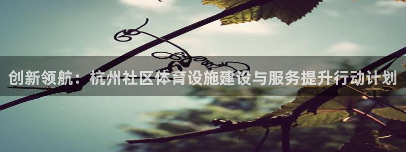 意昂4官方：创新领航：杭州社区体育设施建设与服务提升