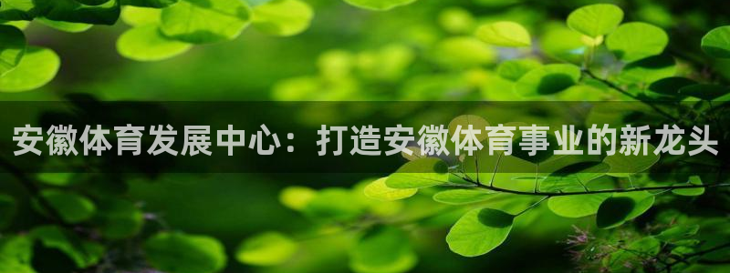 意昂体育4是干嘛的公司：安徽体育发展中心：打造安徽体