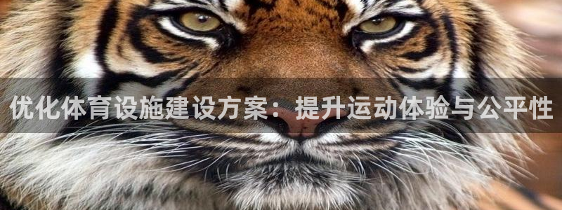 注册意昂4：优化体育设施建设方案：提升运动体验与公平