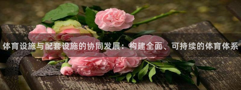 海南意昂体育4：体育设施与配套设施的协同发展：构建全