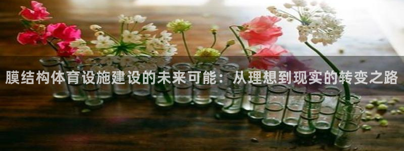 意昂体育4：膜结构体育设施建设的未来可能：从理想到现