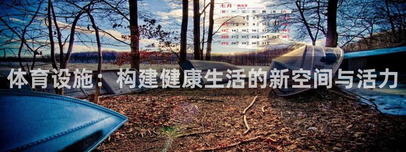 意昂4娱乐网站：体育设施：构建健康生活的新空间与活力