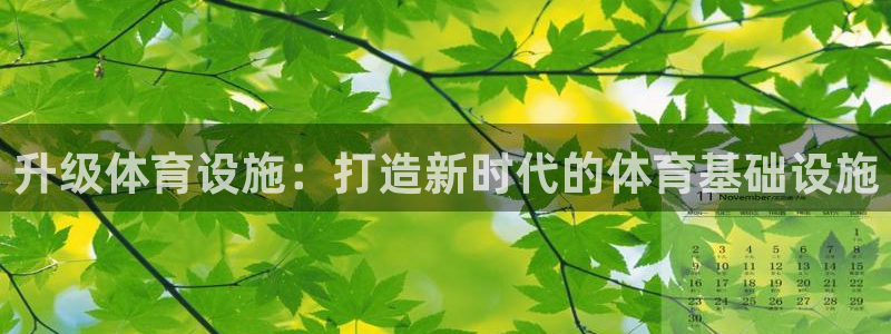 海南意昂体育4：升级体育设施：打造新时代的体育基础设