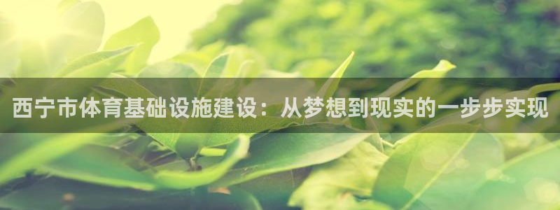 意昂4五金厂：西宁市体育基础设施建设：从梦想到现实的