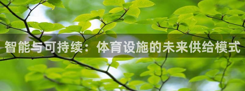 意昂体育4软件：智能与可持续：体育设施的未来供给模式