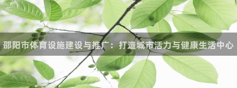 意昂4娱乐是那个系列的台子：邵阳市体育设施建设与推广