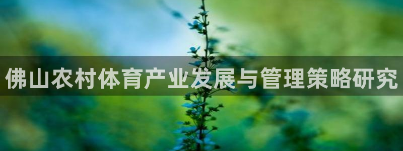 意昂4娱乐下载：佛山农村体育产业发展与管理策略研究