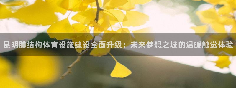 意昂体育4注册：昆明膜结构体育设施建设全面升级：未来