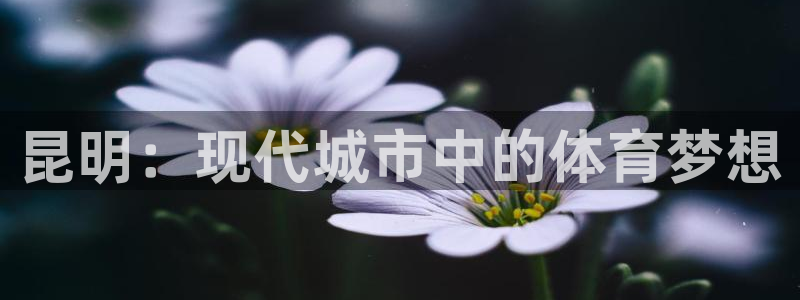 意昂体育4招商电话是多少号码：昆明：现代城市中的体育