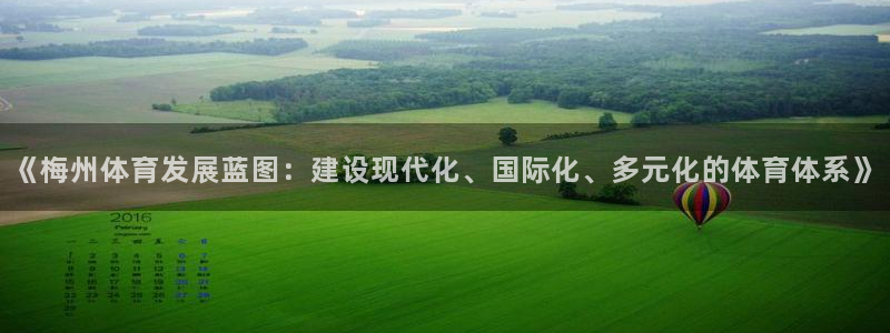 意昂4集团E.ON：《梅州体育发展蓝图：建设现代化、