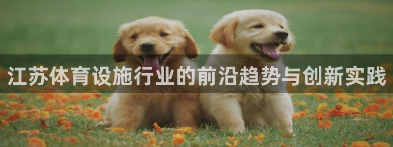意昂体育4招商电话号码：江苏体育设施行业的前沿趋势与