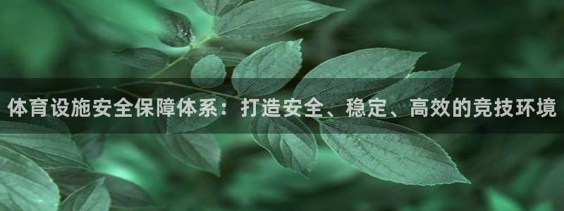 意昂4娱乐平台：体育设施安全保障体系：打造安全、稳定、高效的