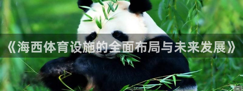 意昂体育4平台假的吗是真的吗：《海西体育设施的全面布局与未来
