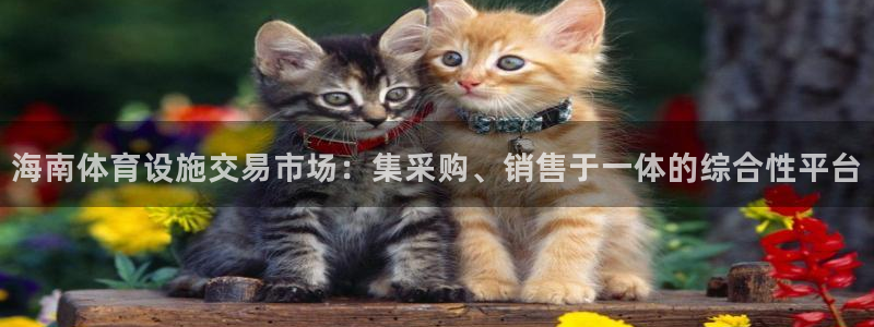 意昂体育4平台假的吗是真的吗：海南体育设施交易市场：集采购、 