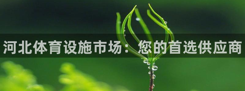 意昂体育4招商电话号码是多少：河北体育设施市场：您的
