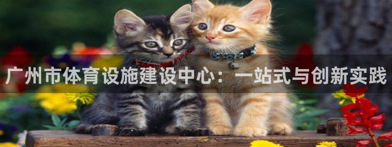 意昂体育4平台注册要钱吗安全吗：广州市体育设施建设中心：一站