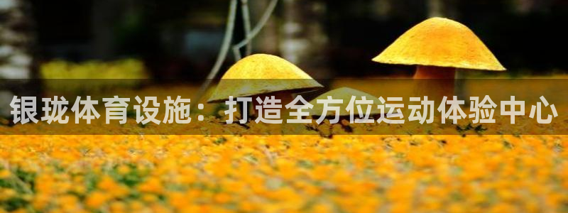 意昂4集团logo：银珑体育设施：打造全方位运动体验中心