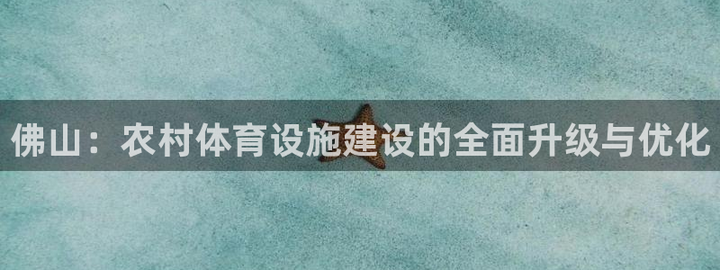 意昂4集团官网首页：佛山：农村体育设施建设的全面升级与优化