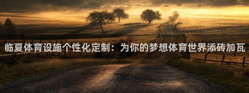 德国意昂4集团：临夏体育设施个性化定制：为你的梦想体育世界添