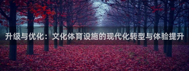 意昂4娱乐：升级与优化：文化体育设施的现代化转型与体验提升 