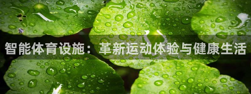 海南意昂体育4：智能体育设施：革新运动体验与健康生活