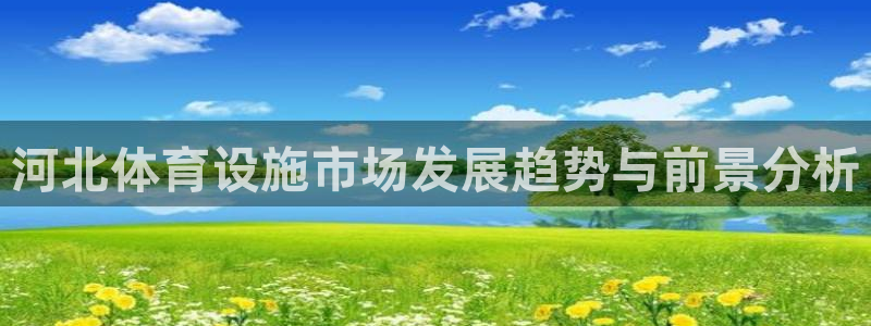 意昂4娱乐40996：河北体育设施市场发展趋势与前景分析 