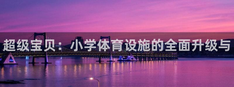 意昂体育4平台注册流程视频：超级宝贝：小学体育设施的