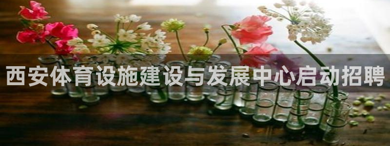 意昂集团官网：西安体育设施建设与发展中心启动招聘