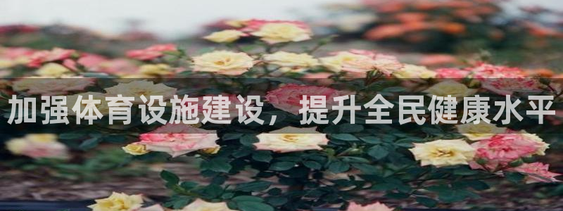 意昂体育4招商电话地址：加强体育设施建设，提升全民健