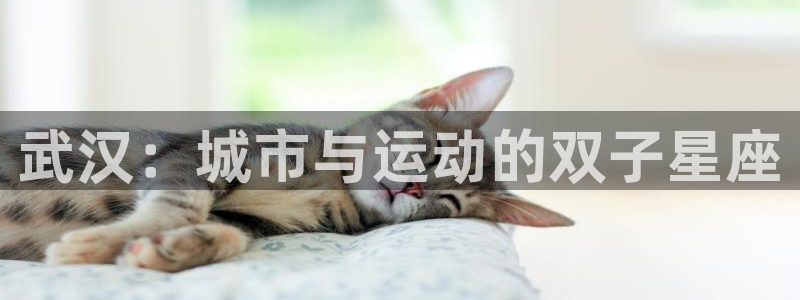 意昂体育4平台是正规平台吗安全吗