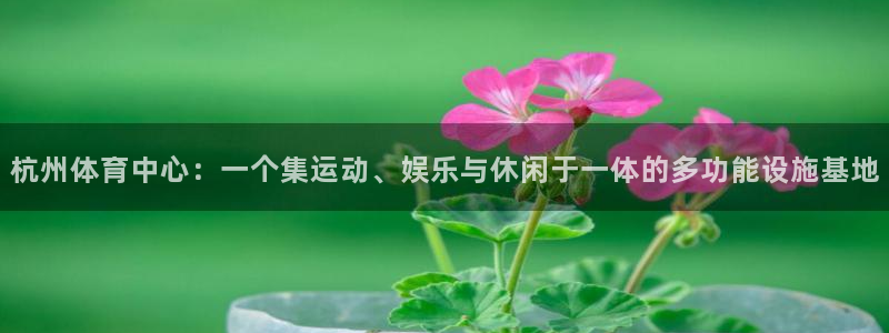 意昂4娱乐下载：杭州体育中心：一个集运动、娱乐与休闲