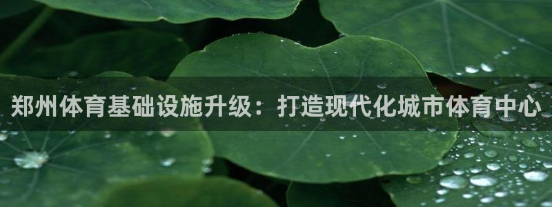 意昂体育4招商电话号码查询是多少