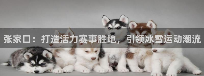 意昂体育4官方客服电话：张家口：打造活力赛事胜地，引领冰雪运