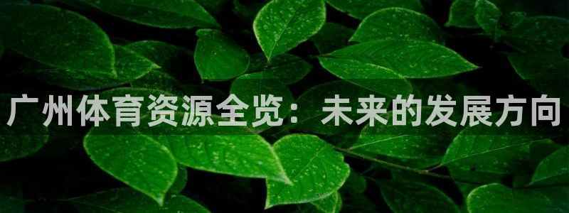 意昂体育4招商电话号码查询：广州体育资源全览：未来的发展方向