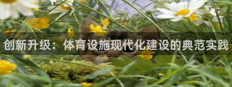 意昂体育4招商电话号码查询是多少：创新升级：体育设施